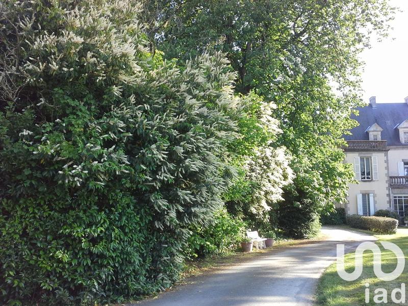 Château - 550 m² - 12 pièces