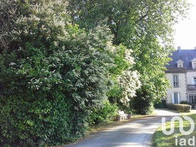 Château - 550 m² - 12 pièces