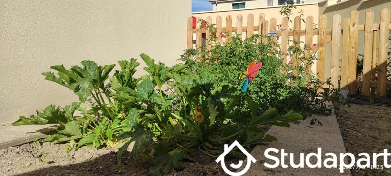 Chambre - 9 m² - 1 pièce