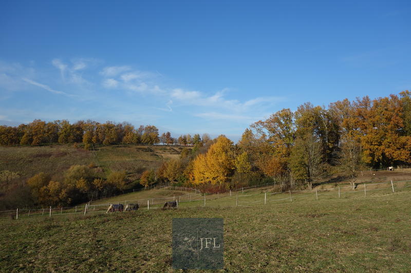 Maison de domaine équestre - 100 m² - 1 pièce