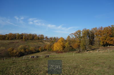 Maison de domaine équestre - 100 m² - 1 pièce