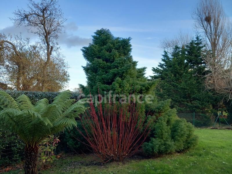 Maison - 140 m² - 7 pièces