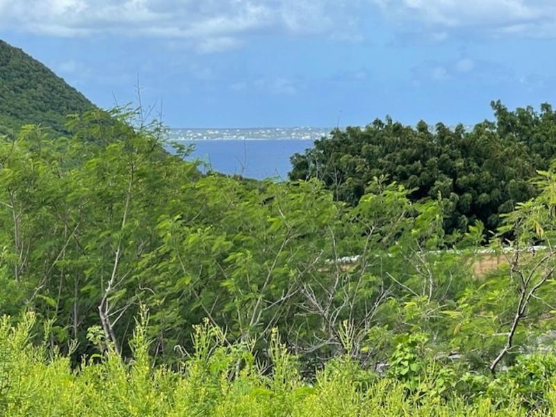 Terrain constructible - 1 502 m²