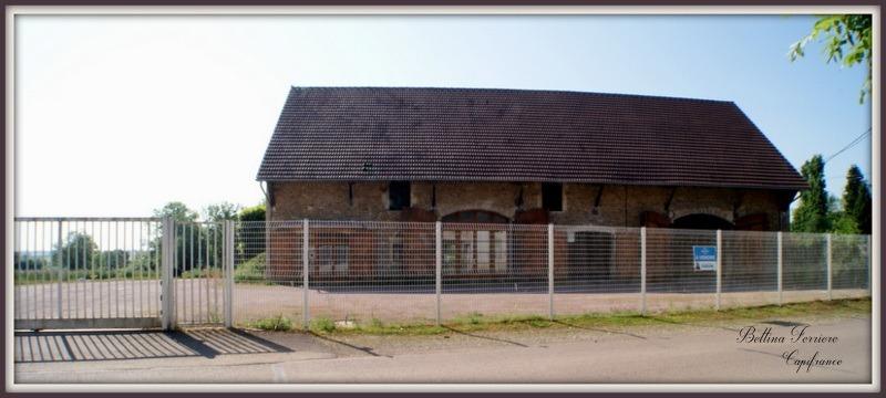 Bureau - 590 m² - 12 pièces