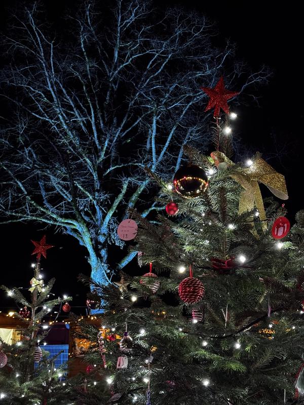 Marché de Noël à Saint-Pierre-en-Faucigny