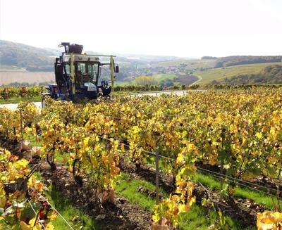 Champagne Harlin Père et Fils
