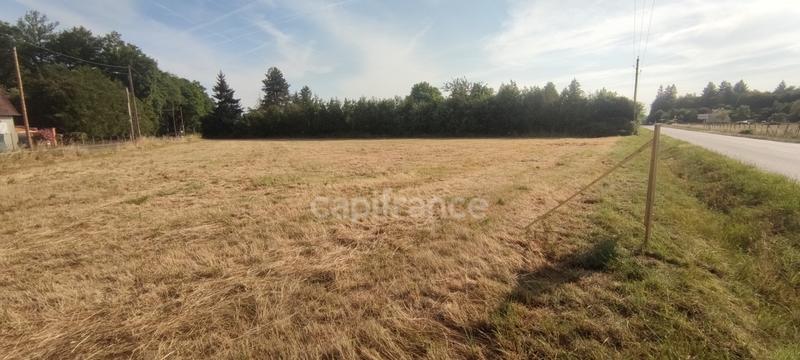 Terrain constructible - 3 284 m²