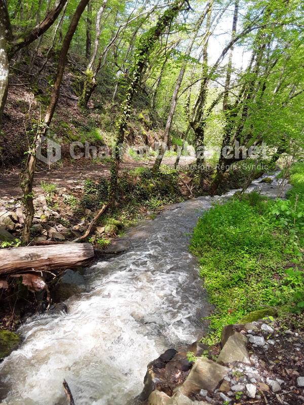 Maison - 130 m² - 4 pièces