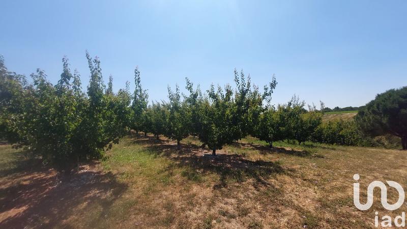 Terrain agricole - 8 467 m²