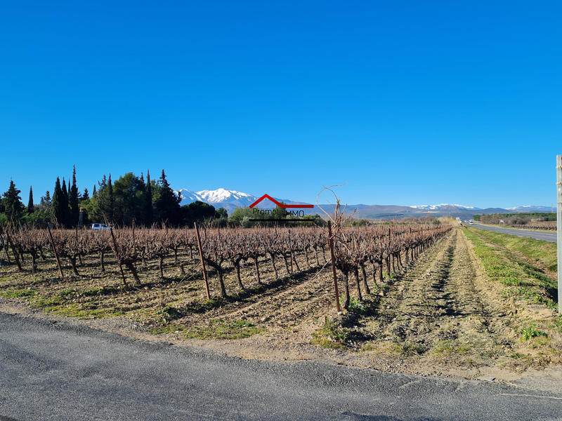 Terrain agricole - 5 730 m²