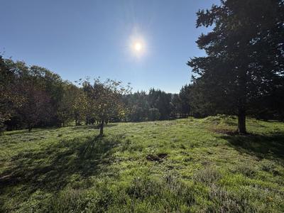 Maison - 234 m² - 10 pièces