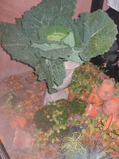 Journée couleurs d'automne