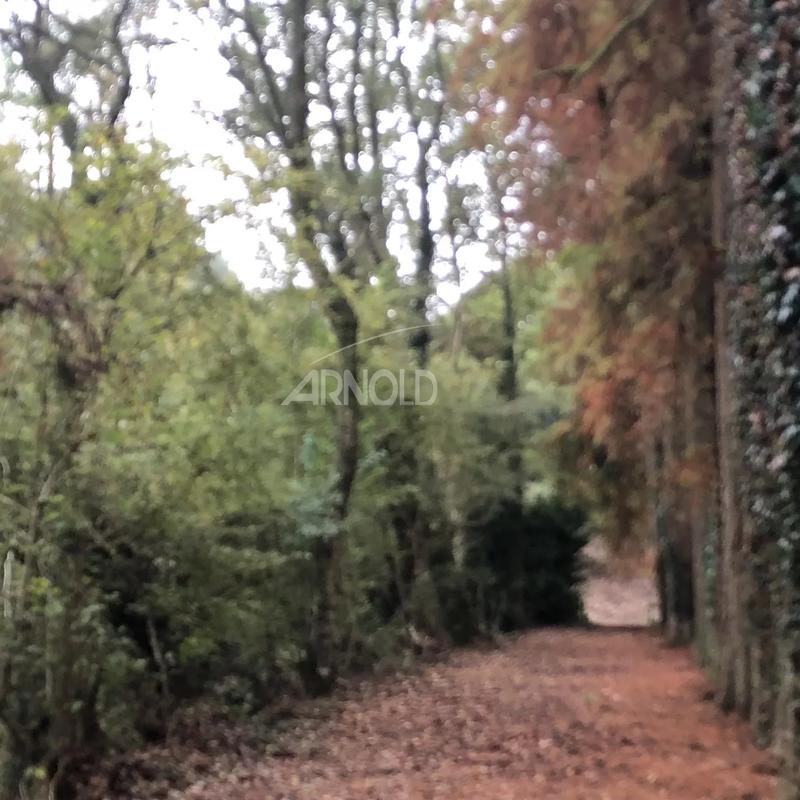 Moulin - 250 m² - 5 pièces