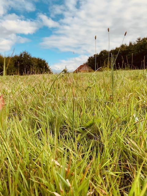 Fermette - 55 m² - 3 pièces