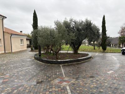 Demeure - 280 m² - 7 pièces