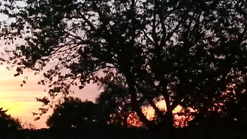 Maison - 290 m² - 7 pièces