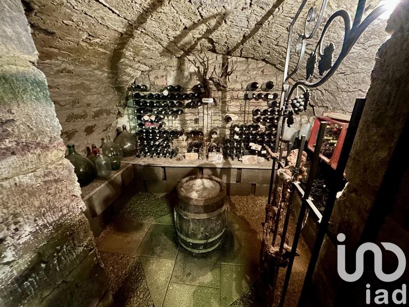 Château - 330 m² - 10 pièces