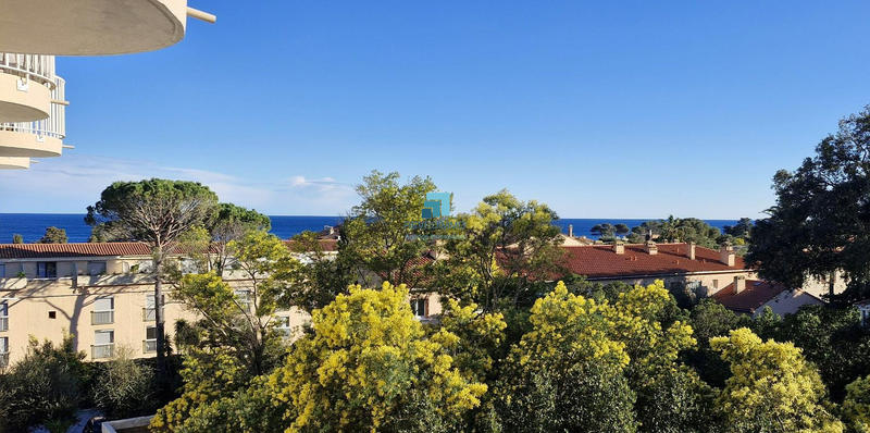 Appartement - 27 m² - 1 pièce