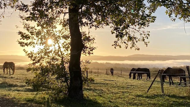 Maison - 128 m² - 4 pièces