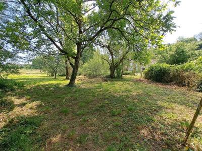 Maison bourgeoise - 159 m² - 7 pièces