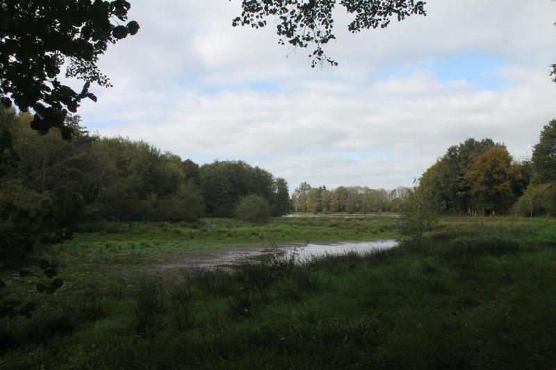 Terrain de loisirs - 67 340 m²