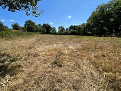 Terrain de loisirs - 3 599 m²