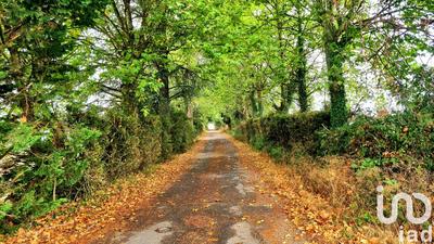 Ferme - 519 m² - 18 pièces