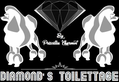 Diamond's Toilettage