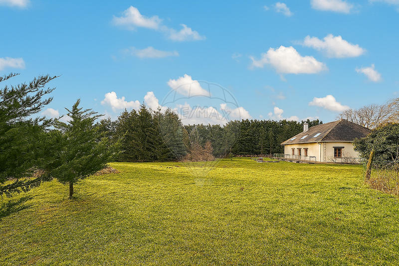 Maison - 239 m² - 5 pièces