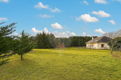 Maison - 239 m² - 5 pièces