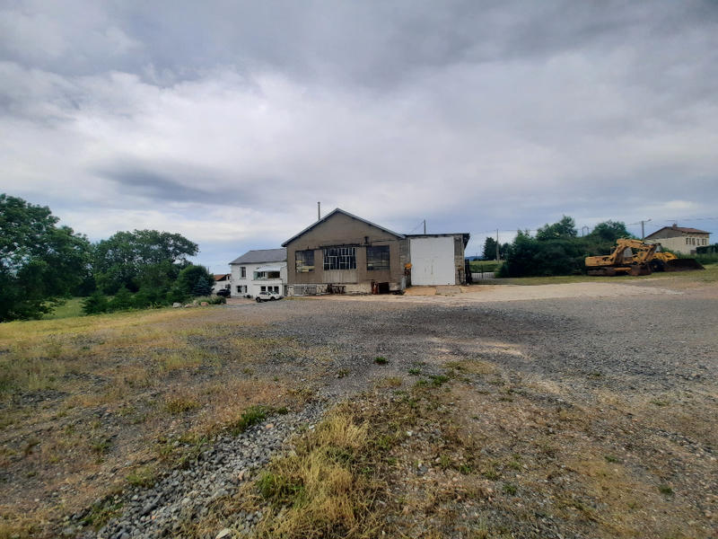 Local d'activité / Entrepôt - 750 m²