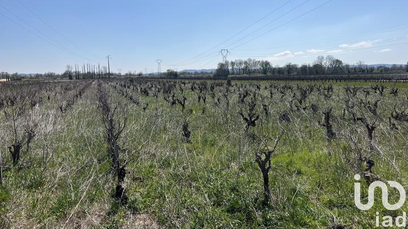 Terrain agricole - 3 232 m²