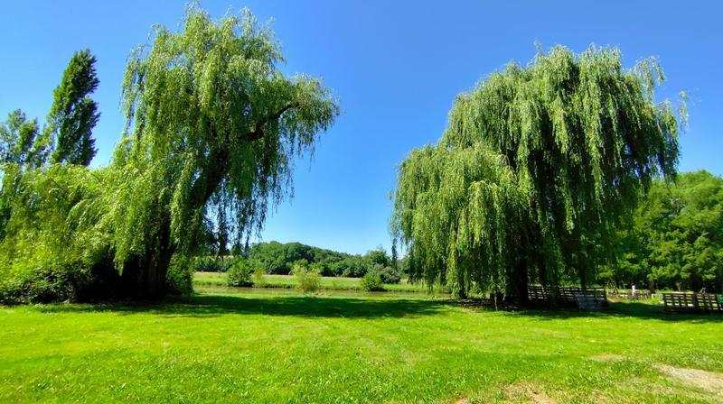 Moulin - 300 m² - 6 pièces
