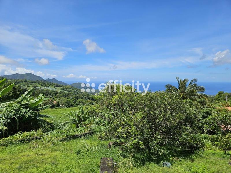 Maison - 173 m² - 4 pièces