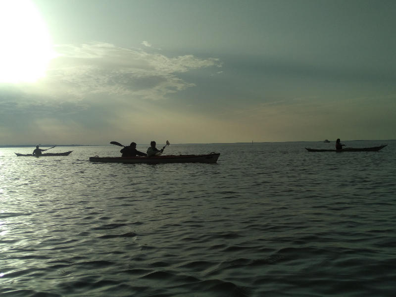Initiation au kayak de mer dans le delta du Bassin d'Arcachon