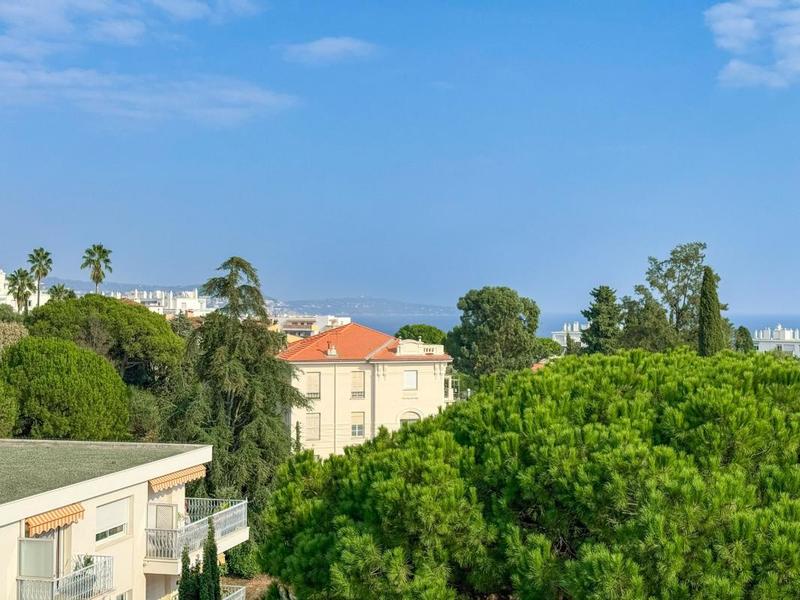 Appartement - 51 m² - 2 pièces