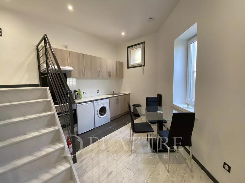 Loft - 31 m² - 1 pièce