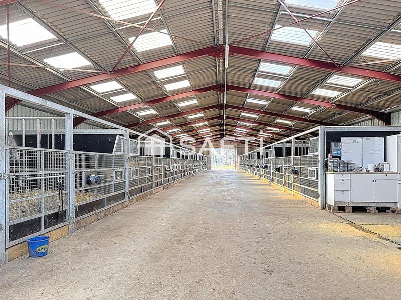 Maison - 532 m² - 10 pièces