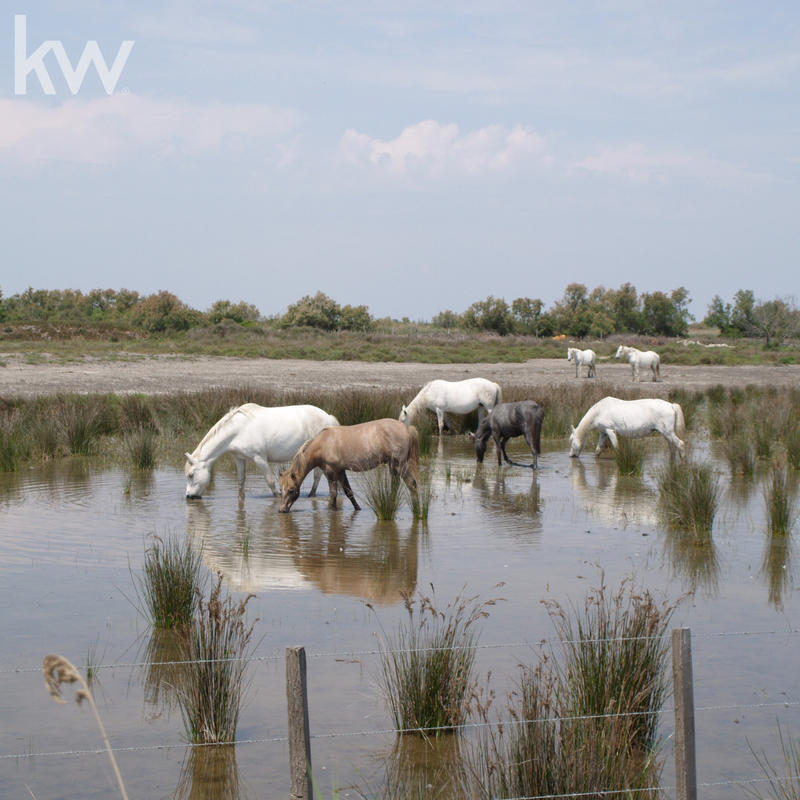 Fonds de commerce - Magasins - 8 978 m²