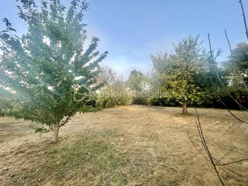Terrain - 600 m²