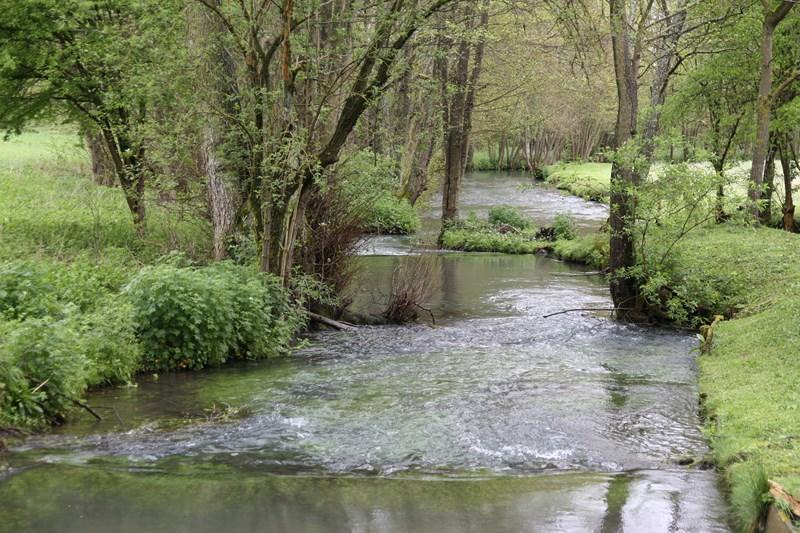 Balade nature - Senteurs d'eaux, parfums de doutes ...