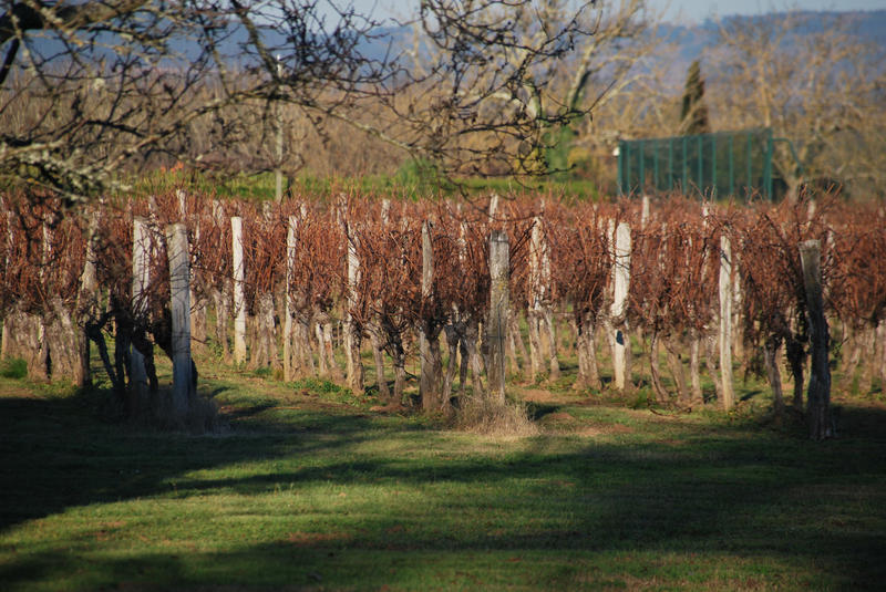 Maison - 435 m² - 10 pièces