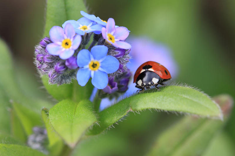 Clôture de l'Abc : restitutionet évènement festif !