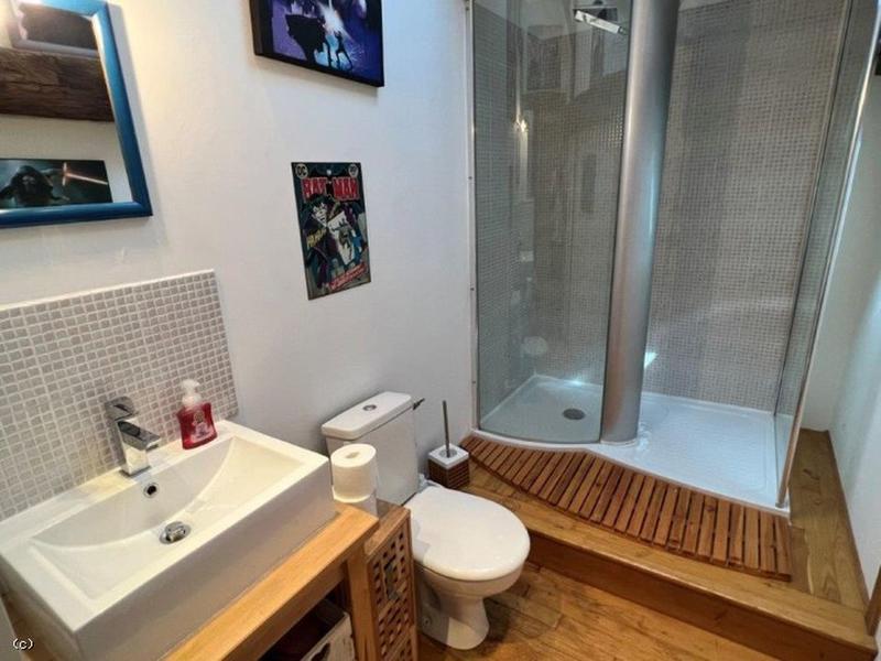 Maison ancienne - 313 m² - 8 pièces