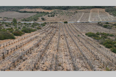 Terrain agricole - 2 880 m²