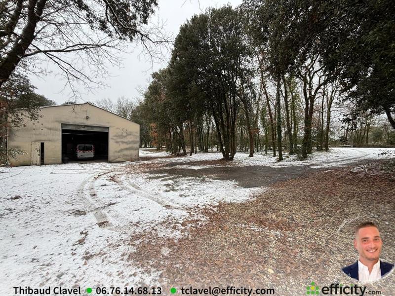 Entrepôt - 217 m² - 2 pièces