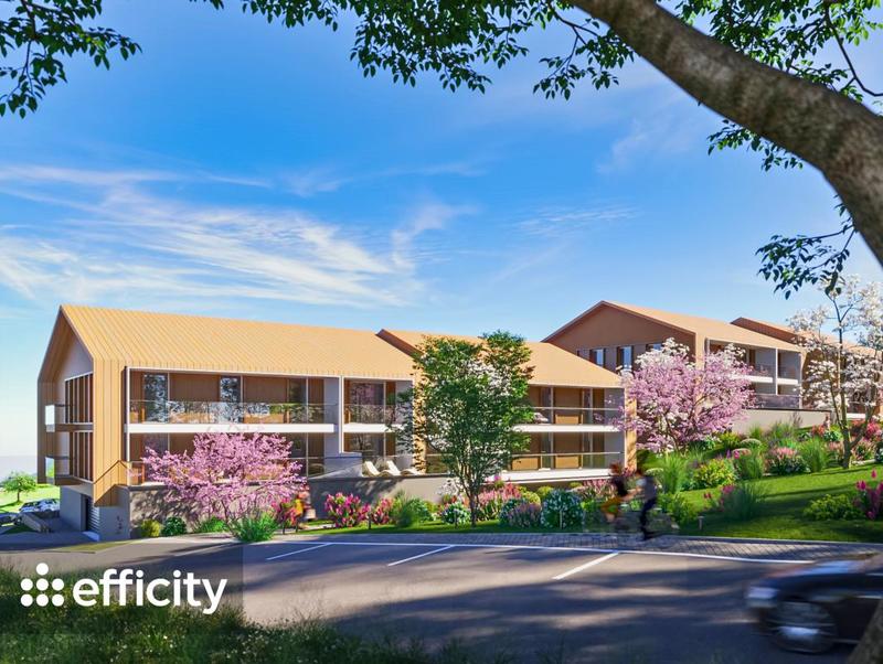 Appartement - 55 m² - 2 pièces