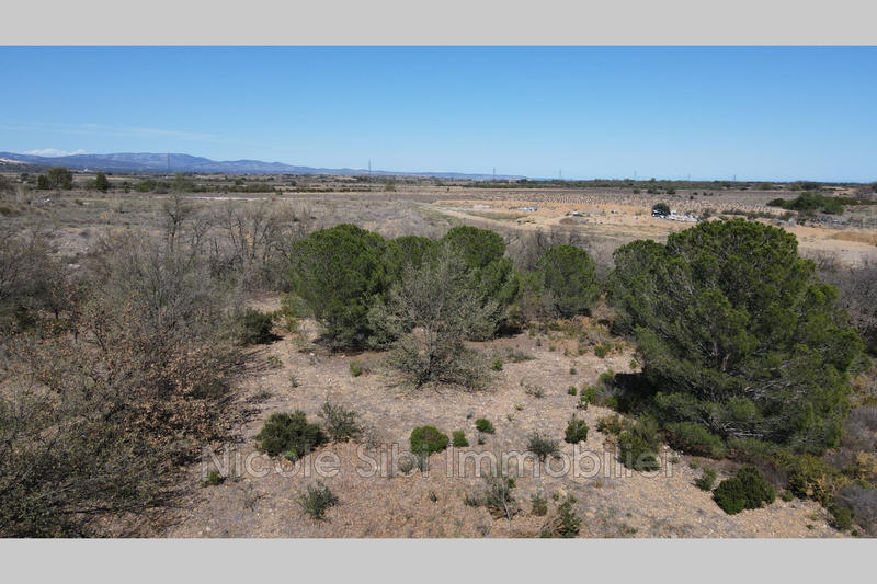 Terrain agricole - 4 920 m²