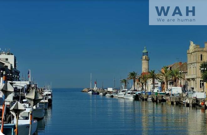 Appartement - 50 m² - 3 pièces