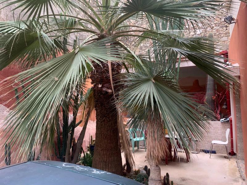 Maison - 115 m² - 6 pièces